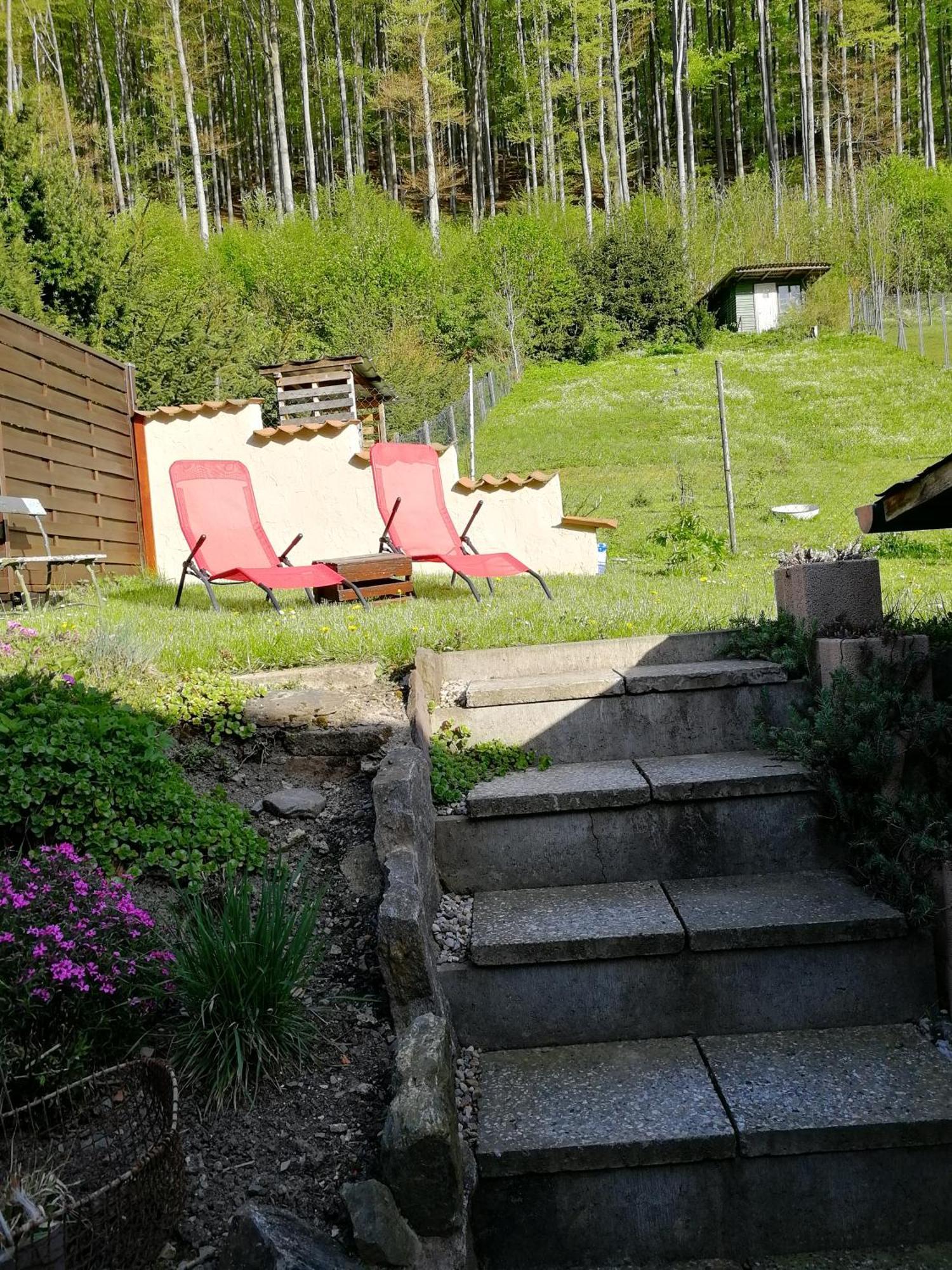 Ferienhaus Rosaly Stolberg i. Harz Exteriér fotografie